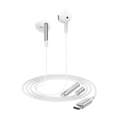 Acefast L3 USB-C wired earphones with mic