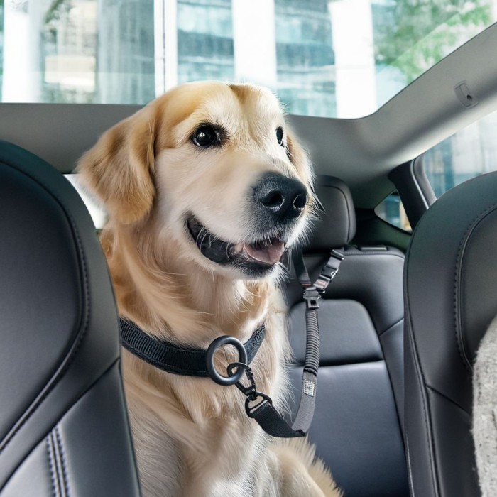 Spigen PS100 Universal Pet Seat Belt - Black