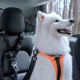 Spigen PS100 Universal Pet Seat Belt - Black