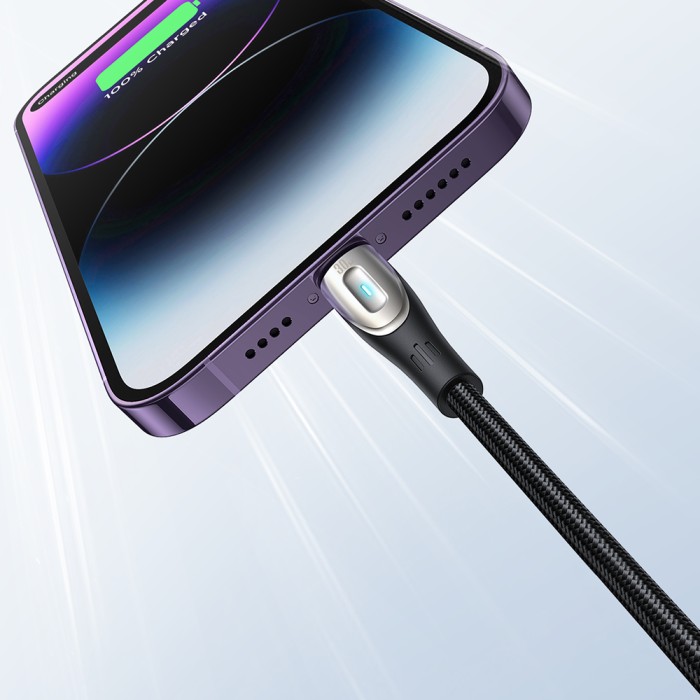 Joyroom Pioneer Series SA31-CL3 USB-C / Lightning 30W 1.2m cable - black - OUTLET