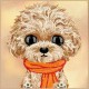 Nimmy Big Eyed Teddy Poodle Case for iPhone 18 Pro Max / 17 Pro Max - Brown