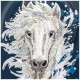 Nimmy the Horse MagSafe Case for iPhone 18 Pro Max / 17 Pro Max - Navy Blue